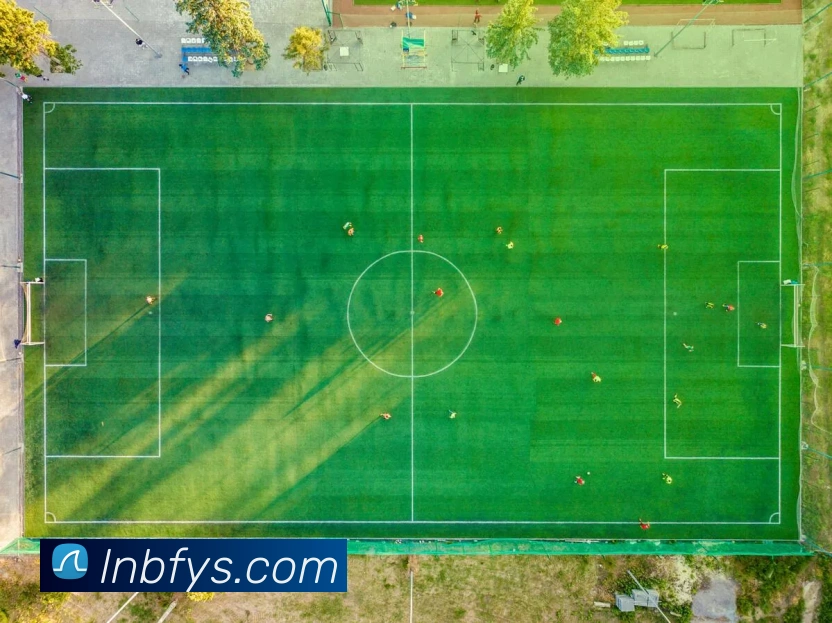 开云官网平台生态图