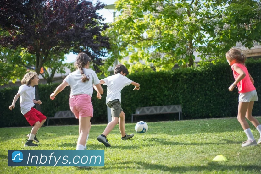 开云官网APP 封面图